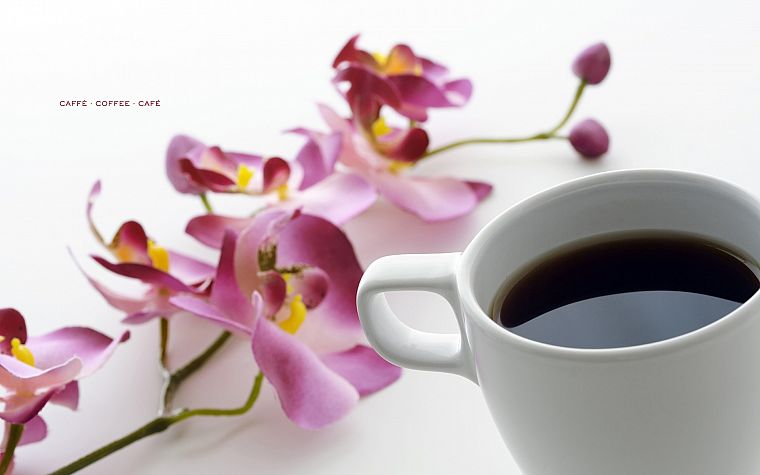 цветы, кофе, напитки, белый фон, орхидеи - обои на рабочий стол