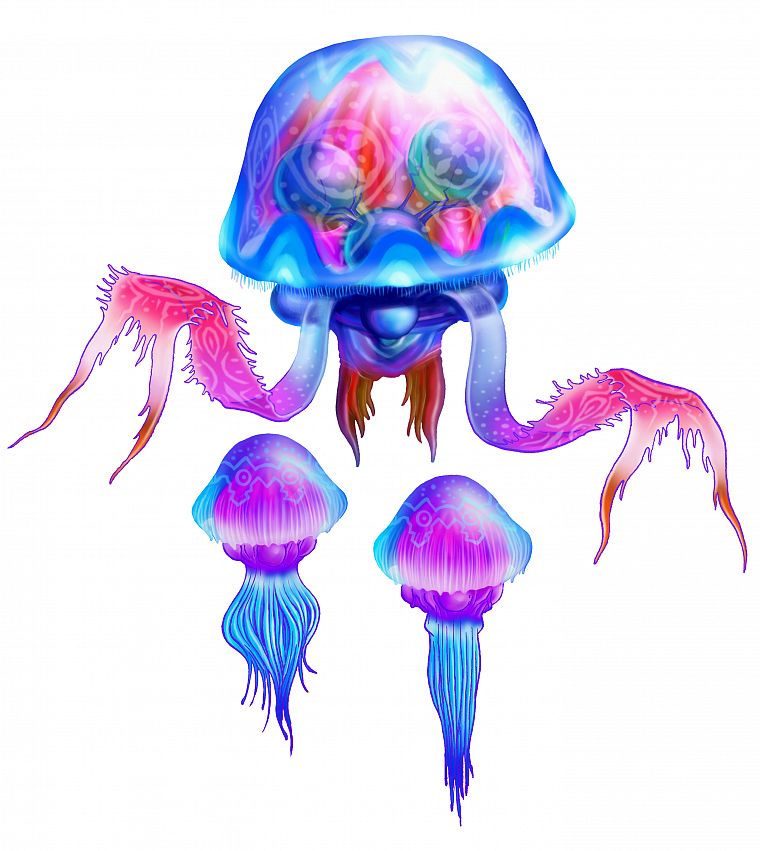 животные, медуза, произведение искусства - обои на рабочий стол