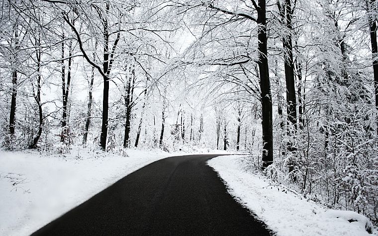 пейзажи, природа, зима, снег, деревья, дороги - обои на рабочий стол