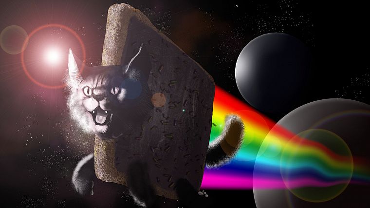 космическое пространство, Nyan Cat, Kingaby - обои на рабочий стол