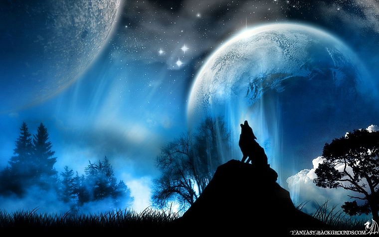 синий, звезды, планеты, Луна, волки - обои на рабочий стол