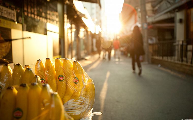 фрукты, солнечный свет, бананы, размытым фоном, городского - обои на рабочий стол