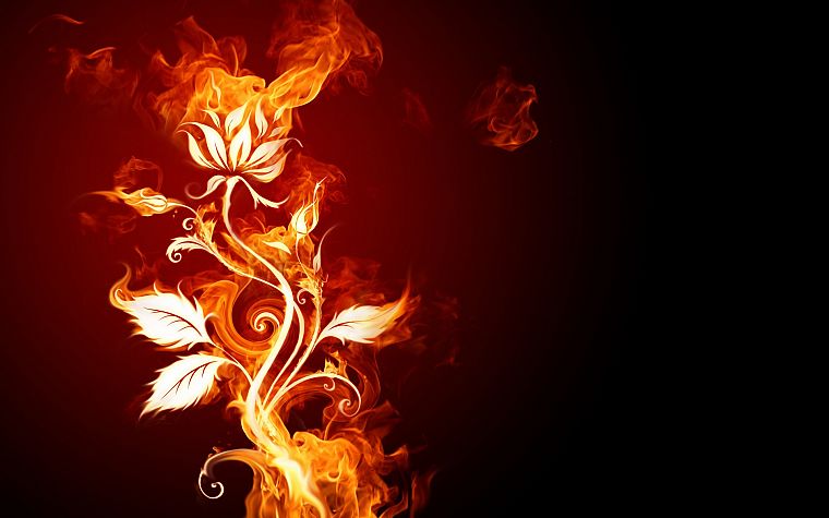 огонь, цветы, огонь, дым, темный фон - обои на рабочий стол
