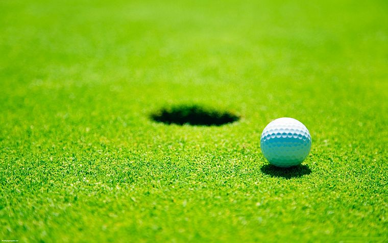 зеленый, трава, гольф, глубина резкости, мячи для гольфа - обои на рабочий стол
