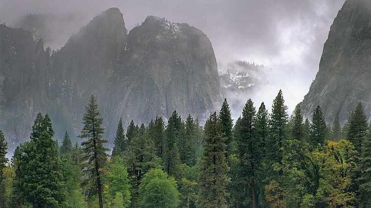 облака, дождь, долины, Калифорния, Национальный парк, Йосемитский национальный парк - обои на рабочий стол