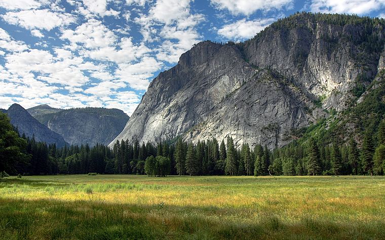 горы, пейзажи, деревья, Йосемитский национальный парк - обои на рабочий стол