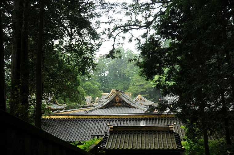 леса, крыши, Grove, Японский архитектура - обои на рабочий стол