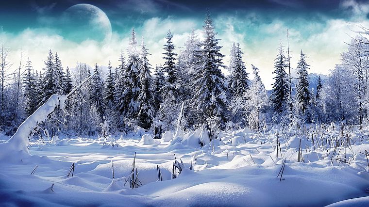 пейзажи, природа, зима, снег, деревья - обои на рабочий стол
