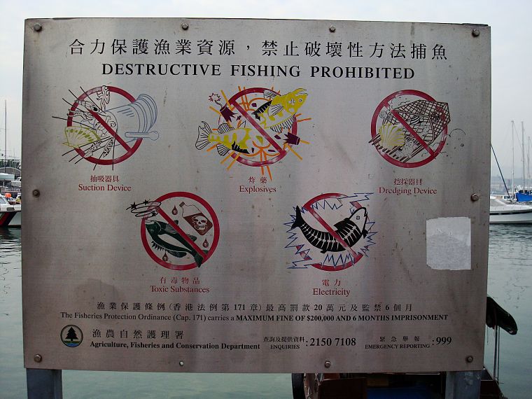 знаки, рыба, рыбалка - обои на рабочий стол