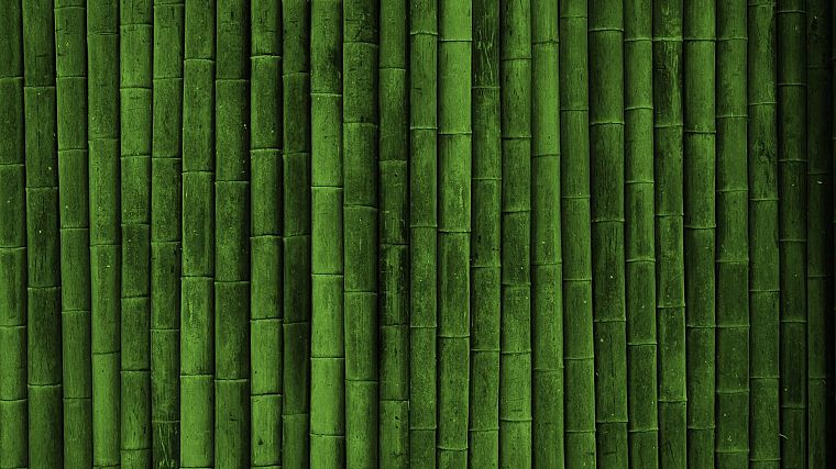 бамбук, текстуры - обои на рабочий стол