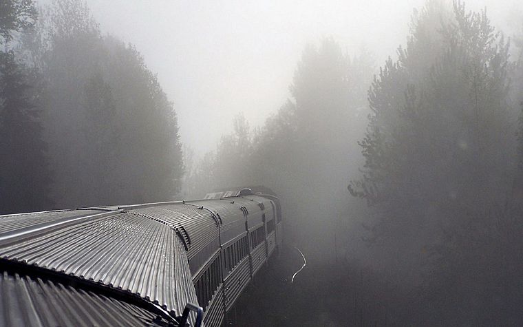 деревья, поезда, туман, туман - обои на рабочий стол