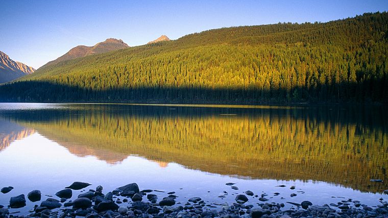 пейзажи, природа, леса, озера, Национальный парк, Монтана, Национальный парк Glacier - обои на рабочий стол