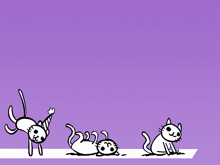 кошки, фиолетовый, рулон, партия - обои на рабочий стол
