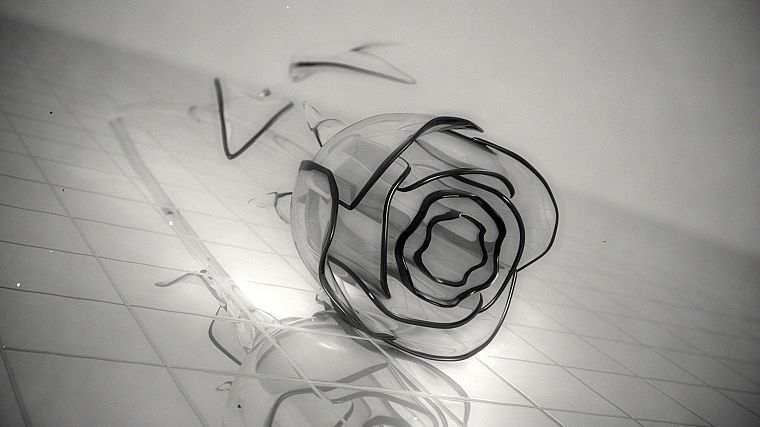 черно-белое изображение, природа, цветы, стекло, листья, столы, тьма, кристаллы, розы - обои на рабочий стол