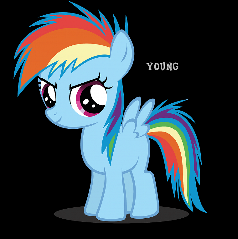 молодой, My Little Pony, пони, Рэйнбоу Дэш, My Little Pony : Дружба Магия - обои на рабочий стол