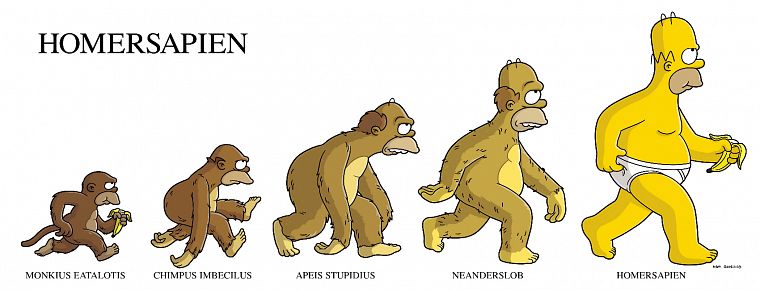 Гомер Симпсон, эволюция, Симпсоны - обои на рабочий стол