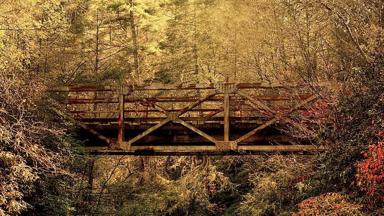 леса, мосты - обои на рабочий стол