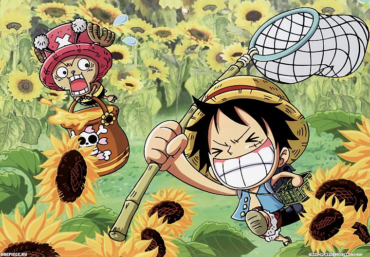 One Piece ( аниме ), прерыватель, Обезьяна D Луффи - обои на рабочий стол