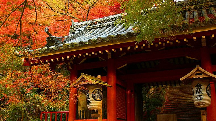 Япония, деревья, осень, дома - обои на рабочий стол