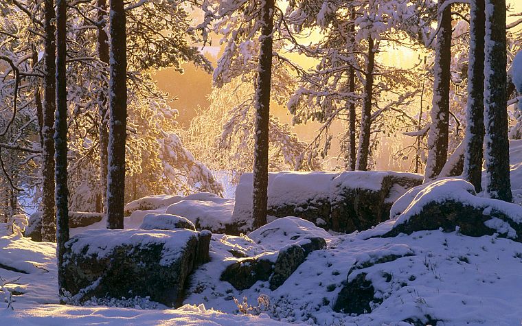 природа, зима, снег, деревья, скалы, солнечный свет - обои на рабочий стол