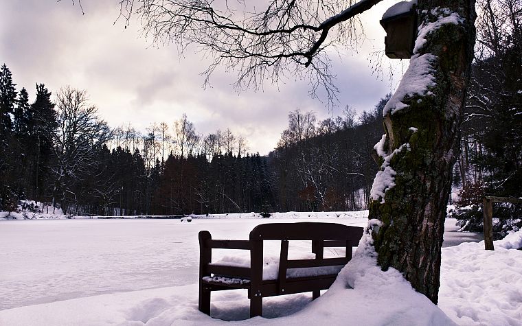 зима, скамья, зимние пейзажи - обои на рабочий стол