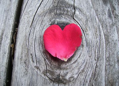 сердца, текстура древесины, лепестки цветов - случайные обои для рабочего стола