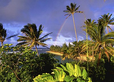 Гавайи, Кауаи, парки, пляжи - случайные обои для рабочего стола