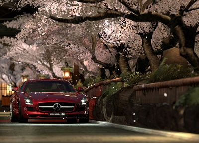 пейзажи, деревья, красный цвет, автомобили, Киото, живописный, транспортные средства, Мерседес Бенц, Mercedes- Benz SLS AMG E-Cell - обои на рабочий стол