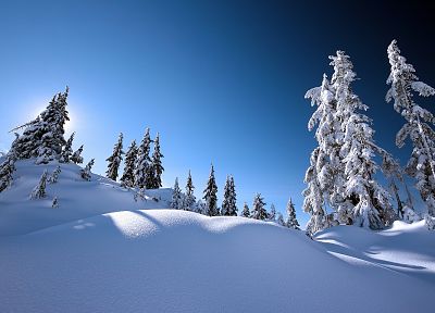 пейзажи, зима, снег, деревья - обои на рабочий стол