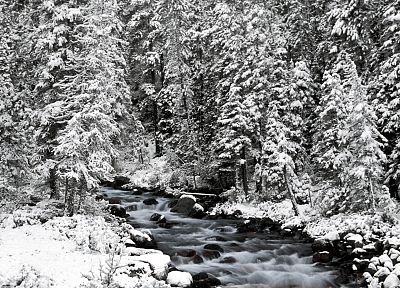 пейзажи, природа, зима, Канада, Альберта, Национальный парк Банф, Национальный парк - обои на рабочий стол