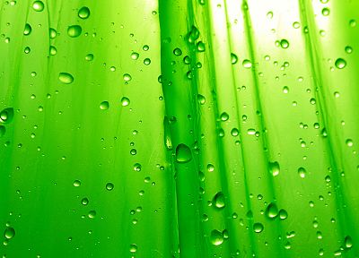 зеленый, капли воды - обои на рабочий стол
