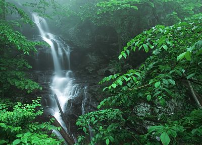 водопад, реки, Национальный парк, Шенандоа - копия обоев рабочего стола