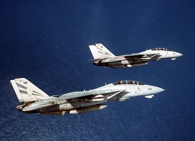 самолет, кот, F-14 Tomcat - оригинальные обои рабочего стола