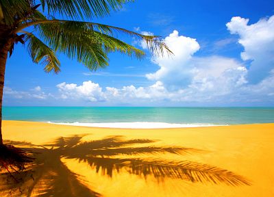облака, песок, пальмовые деревья, пляжи - обои на рабочий стол