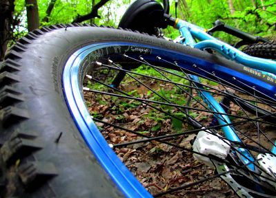 леса, велосипеды, спортивный, весна, Украина, горные велосипеды - случайные обои для рабочего стола