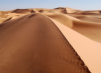 песок, пустыня, море песка - обои на рабочий стол