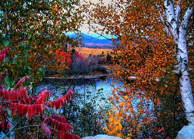 пейзажи, природа, деревья, осень, озера - обои на рабочий стол