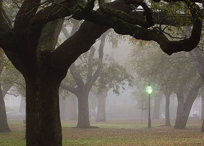 деревья, туман, фонарные столбы, парки, Южная Каролина - оригинальные обои рабочего стола