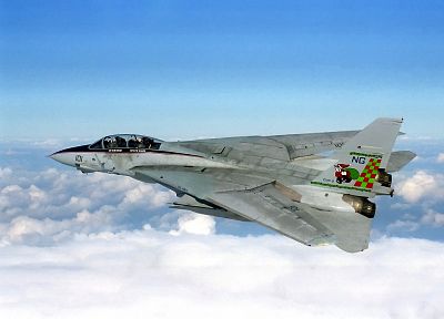 самолет, военный, военно-морской флот, самолеты, F-14 Tomcat - оригинальные обои рабочего стола