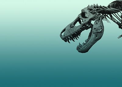 минималистичный, динозавры, Tyrannosaurus Rex, окаменелость - обои на рабочий стол