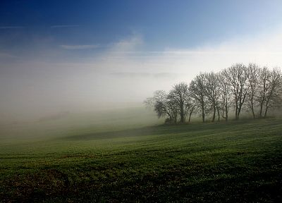 пейзажи, деревья, поля, туман - случайные обои для рабочего стола