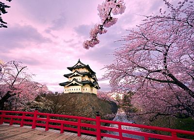 Япония, замки, вишни в цвету, розовый цвет, дома, Японский мост, Замок Хиросаки - оригинальные обои рабочего стола