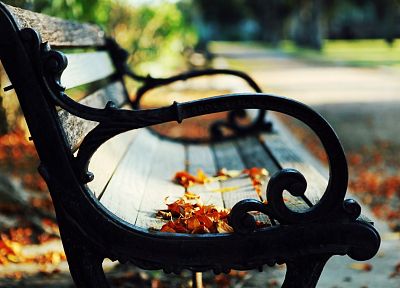 крупный план, природа, осень, листья, пути, скамья, живописный, опавшие листья - обои на рабочий стол