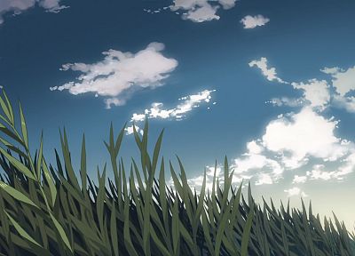 трава, анимированные, Макото Синкай, 5 сантиметров в секунду, обращается, небо - обои на рабочий стол