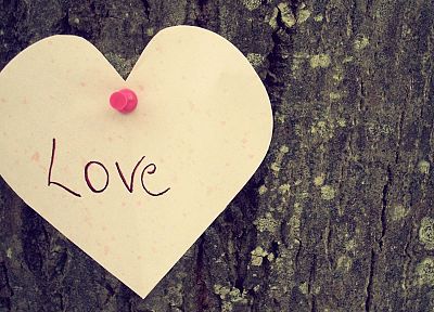 любовь, деревья, сердца - обои на рабочий стол