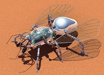 робот, насекомые - обои на рабочий стол