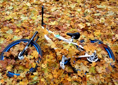 велосипед, осень, листья, Украина, цикл, опавшие листья - обои на рабочий стол