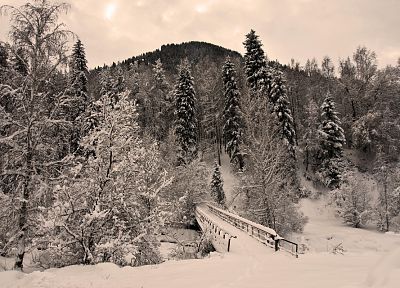 пейзажи, зима, снег, деревья, мосты, HDR фотографии, пешеходные мосты - оригинальные обои рабочего стола
