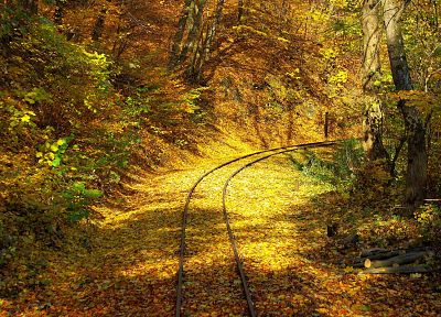 деревья, осень, листья, железнодорожные пути - обои на рабочий стол