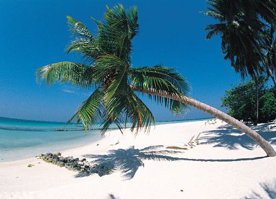 океан, острова, пальмовые деревья, пляжи - случайные обои для рабочего стола